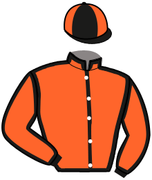 casaque portée par Congard R. jockey du cheval de course MATISSE DU PONT, information pmu ZETURF