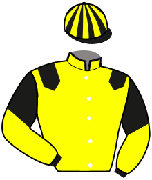 casaque portée par Roussin T. jockey du cheval de course JACKPOT DE NILREM, information pmu ZETURF