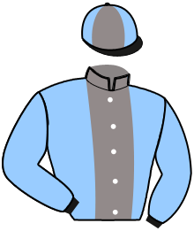 casaque portée par Herard Mlle L. jockey du cheval de course JORDAN CHENEVIERE, information pmu ZETURF