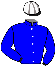 casaque portée par Lherete A. jockey du cheval de course KOUSINE MAJYC, information pmu ZETURF