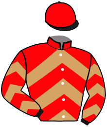 casaque portée par Delamaire Y. jockey du cheval de course HEROS DU GAVREGUET, information pmu ZETURF
