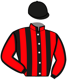 casaque portée par Heuze L. jockey du cheval de course HESTUR DE BELLEN, information pmu ZETURF