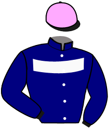 casaque portée par Raffin E. jockey du cheval de course HASHTAG SIMONI, information pmu ZETURF