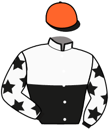 casaque portée par Baudouin Gau. jockey du cheval de course LOUSTIC DE SALOMAX, information pmu ZETURF
