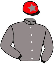 casaque portée par Guitraud C. jockey du cheval de course JUST FOR WIN, information pmu ZETURF