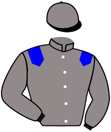 casaque portée par Prichard Mlle C. jockey du cheval de course SIX ONE, information pmu ZETURF