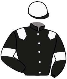 casaque portée par Jouin O. jockey du cheval de course IPHIS DE L'AUNAY, information pmu ZETURF