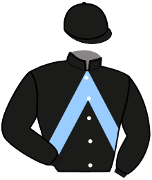 casaque portée par Durville Mar. jockey du cheval de course MANOUSCKA, information pmu ZETURF casaque portée par Durville Mar. jockey du cheval de course MANOUSCKA, information pmu ZETURF