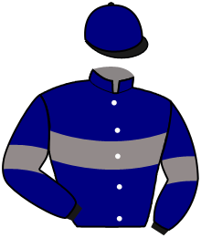 casaque portée par Lebourgeois Y. jockey du cheval de course L'ENCYCLOPEDIE, information pmu ZETURF