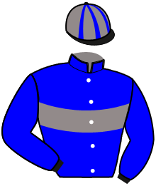 casaque portée par Ploquin Pau. Ph. jockey du cheval de course LAURENTINA TURGOT, information pmu ZETURF