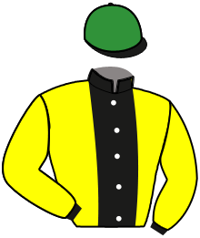 casaque portée par Godey Mme Hél. jockey du cheval de course JAFF DE MESLAY, information pmu ZETURF