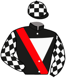 casaque portée par Grandin M. jockey du cheval de course MODELE ABSOLU, information pmu ZETURF