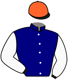 casaque portée par Pollet Mme E. jockey du cheval de course LITTLE DARLING, information pmu ZETURF