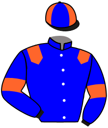 casaque portée par Guyon M. jockey du cheval de course TOYOTOMI, information pmu ZETURF