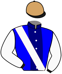 casaque portée par Lemaitre A. jockey du cheval de course PRADARO, information pmu ZETURF
