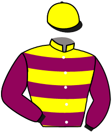 casaque portée par Guyon M. jockey du cheval de course MIDNIGHT STRIKE, information pmu ZETURF