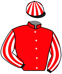 casaque portée par Davies Har. jockey du cheval de course SOLDIER'S HEART, information pmu ZETURF