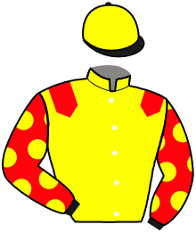 casaque portée par Gouin Pie. Y. jockey du cheval de course JAPPELOUP CARNOIS, information pmu ZETURF
