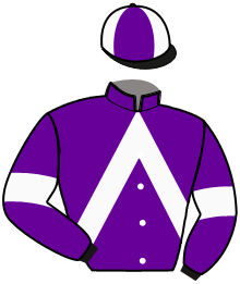 casaque portée par Rogy E. jockey du cheval de course JASON WILD, information pmu ZETURF