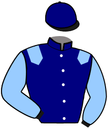 casaque portée par Bertin Lil. jockey du cheval de course IRPIEU DE VARVILLE, information pmu ZETURF