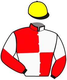casaque portée par Ploquin Pau. Ph. jockey du cheval de course IZIA DE MONGIVAL, information pmu ZETURF