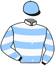 casaque portée par Foulon M. jockey du cheval de course NOTE AREDIENNE, information pmu ZETURF