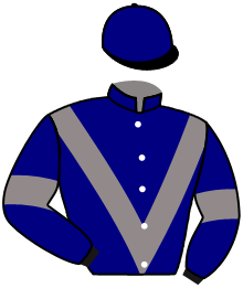 casaque portée par Gallon D. jockey du cheval de course GENTEEL STAR, information pmu ZETURF casaque portée par Gallon D. jockey du cheval de course GENTEEL STAR, information pmu ZETURF