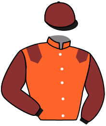 casaque portée par Guitraud C. jockey du cheval de course HIGH HOPE, information pmu ZETURF casaque portée par Guitraud C. jockey du cheval de course HIGH HOPE, information pmu ZETURF