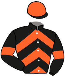 casaque portée par Bouchez M. jockey du cheval de course MON AS SYLION, information pmu ZETURF casaque portée par Bouchez M. jockey du cheval de course MON AS SYLION, information pmu ZETURF