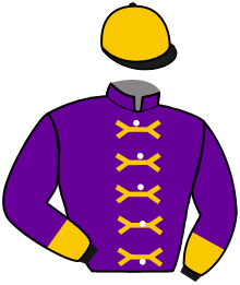 casaque portée par Molins Mme Amb. jockey du cheval de course AGNESI, information pmu ZETURF