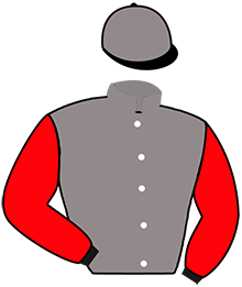 casaque portée par Roussel Leo jockey du cheval de course DAISY DAISY, information pmu ZETURF
