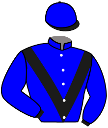 casaque portée par D' Andigne O. jockey du cheval de course JUST JIM, information pmu ZETURF