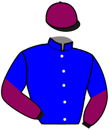 casaque portée par Dromigny T. jockey du cheval de course HEY QUICK, information pmu ZETURF
