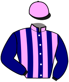 casaque portée par Verva M. jockey du cheval de course FEUX VERTS, information pmu ZETURF