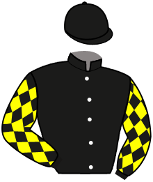 casaque portée par Gavilan Ale. jockey du cheval de course TINMANDER, information pmu ZETURF