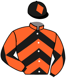 casaque portée par Trolley De Prevaux G. jockey du cheval de course SILVER SILENT, information pmu ZETURF