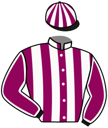 casaque portée par Werle A. jockey du cheval de course UGATZAI, information pmu ZETURF