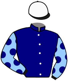 casaque portée par Richard G. jockey du cheval de course CORAL DES MOTTES (OE), information pmu ZETURF