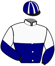 casaque portée par Martin G. jockey du cheval de course IOSHA CAYENNAISE, information pmu ZETURF