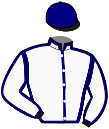 casaque portée par Raffin E. jockey du cheval de course LEWIS GALAA, information pmu ZETURF