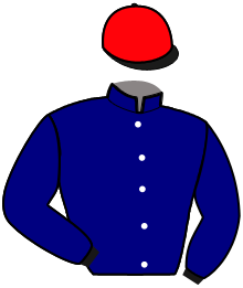 casaque portée par Gelormini G. jockey du cheval de course LA VIE EST BELLE, information pmu ZETURF