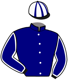 casaque portée par Lerenard A. jockey du cheval de course HORUS DE ROMAZ, information pmu ZETURF