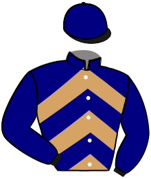 casaque portée par Berthelot J. jockey du cheval de course JERK SPOKEN, information pmu ZETURF