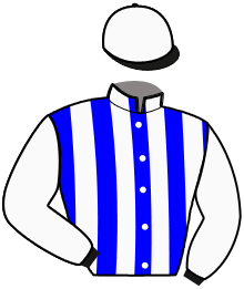 casaque portée par Cormy N. jockey du cheval de course KIWA BLEUE, information pmu ZETURF