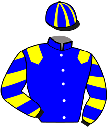casaque portée par Martineau N. jockey du cheval de course LASCAH DU THEIL, information pmu ZETURF