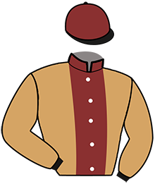 casaque portée par Ouvrie T. jockey du cheval de course L'ETONNANT TONIC, information pmu ZETURF