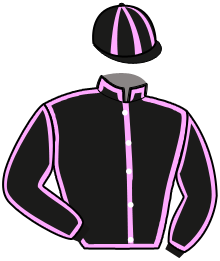 casaque portée par Le Cerf S. jockey du cheval de course JAG DE BAULON, information pmu ZETURF