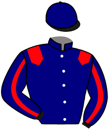 casaque portée par Marie Benj. jockey du cheval de course FREEZE, information pmu ZETURF