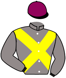 casaque portée par Guyon M. jockey du cheval de course LE TABOU, information pmu ZETURF