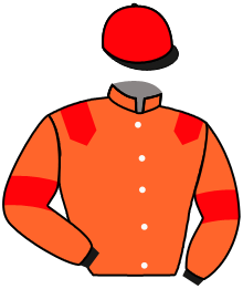 casaque portée par Mangione R. jockey du cheval de course KOURAL, information pmu ZETURF
